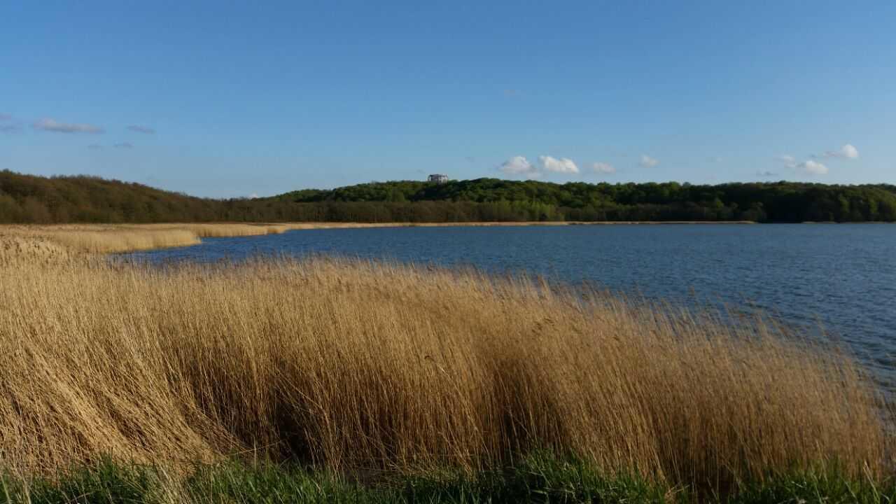 Top Ferienwohnungen Binz Granitzhof Exteriér fotografie