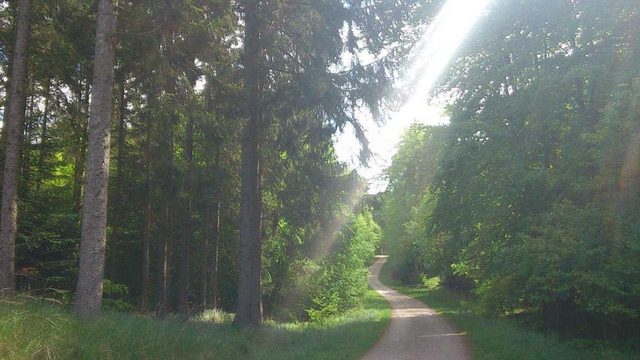 Top Ferienwohnungen Binz Granitzhof Exteriér fotografie